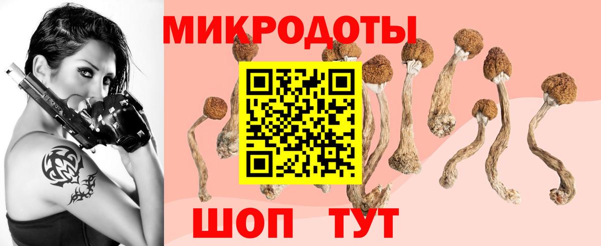 Псилоцибиновые грибы Psilocybine cubensis  Вход с VPN  Псилоцибиновые грибы Psilocybe  Кольчугино 